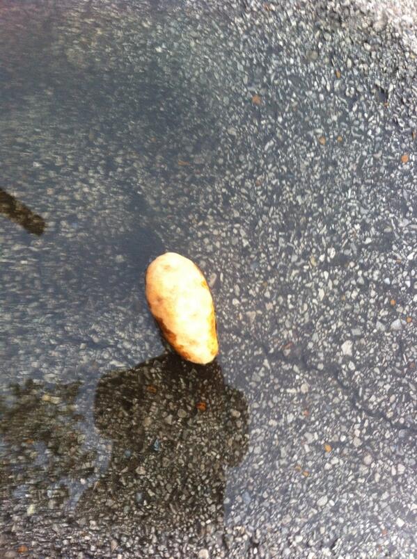 Ms_BDay's tweet image. #selfie