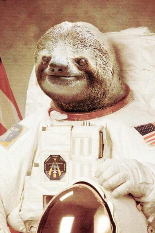 PandaCanDoDat tweet picture