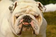 EVProblems's tweet image. Sup, Mrs Miller