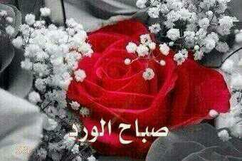 اميرةةة بإحساسي tweet media