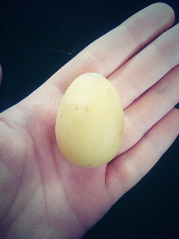 heatherscrim's tweet image. Just found a boiled potato in my bag #boiledpotato #perfectlyformed #bizarre