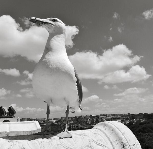 Обожаю листать свои фотографии из Италии. Особенное путешествие.