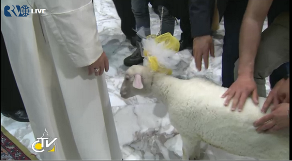 CatholicNewsSvc's tweet photo. In today's audience w/ students from Jesuit-run schools, the pope got a special visitor #ShepherdsWithSmellofSheep http://t.co/OmgFG4l48X