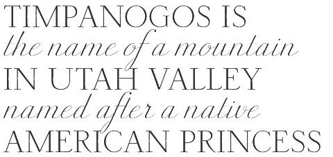 erinferdinand's tweet image. Caps + Script. Gah! So gorgeous. betatype.com #fontfridays