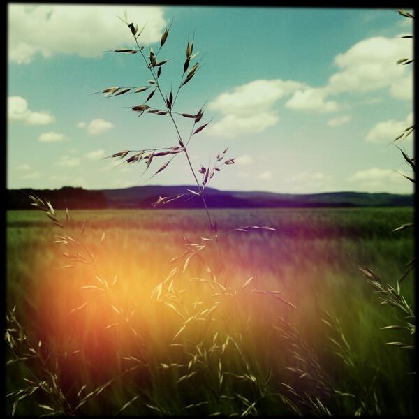 Pitt_Lemgo's tweet image. Wanderung im Lippischen