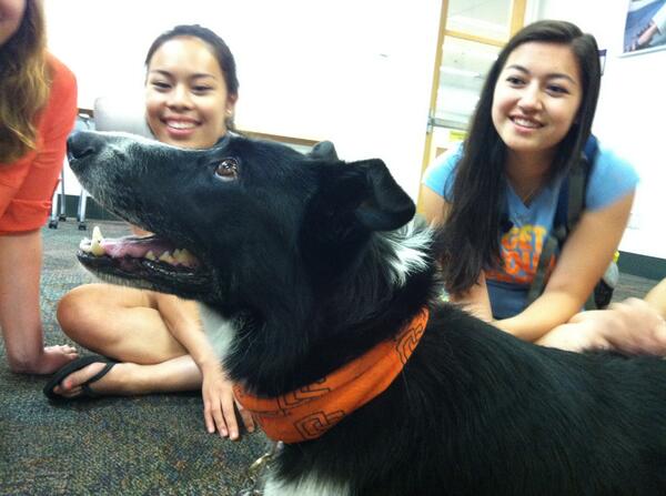 osuecampus tweet picture