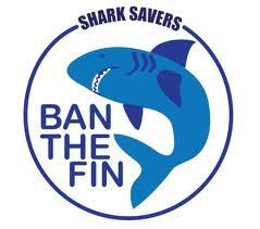 Save The Sharks  tweet media