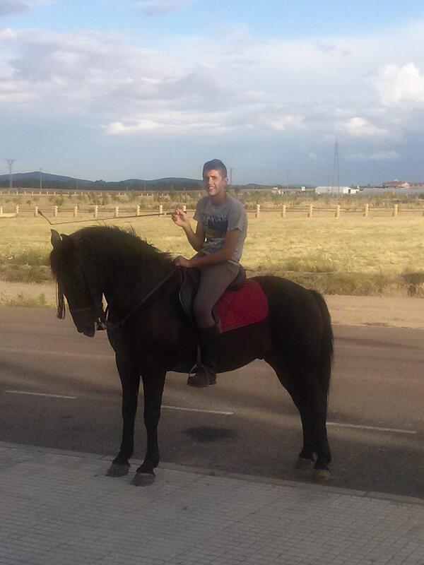 Jessica_esponja's tweet photo. @DavidCorreyero. Con el creido este q nos ha venido a enseñar su precioso caballo jajaja http://t.co/R9c0IgWSqI