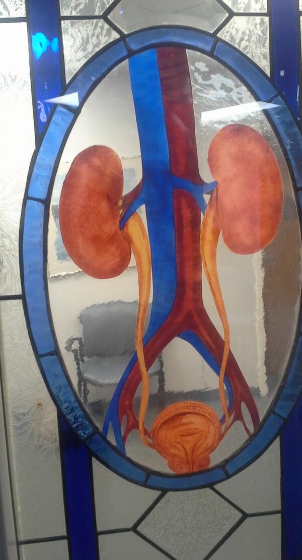 AshleyFires's tweet photo. doctor's visit time #puddingcamera http://t.co/kHU6FnOVmO