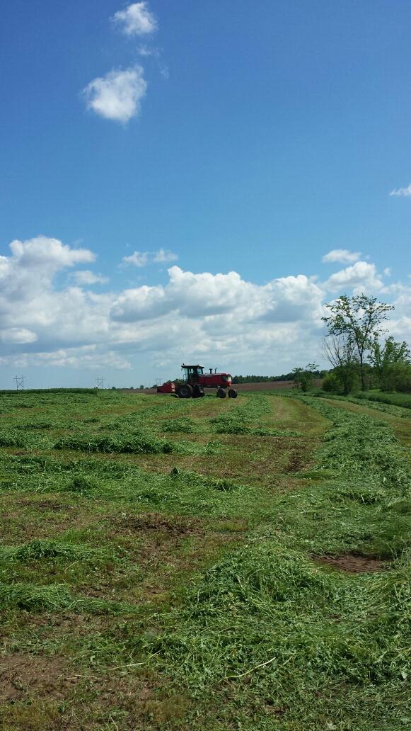 Vanderloop Equipment tweet media