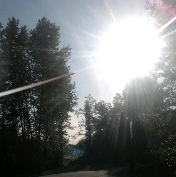 Raquel___3 tweet picture