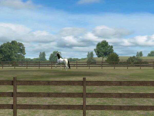 Confira a minha foto! Adicione-me, deleted_1350496860.93_ClammyLlama152. #MyHorse nmgam.es/horse_twitter