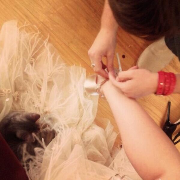 DebbysCatDoctor's tweet photo. Me and @TheDebbyRyan fitting for the Daytime Emmy's. Be prepared cuz we gonna look goooooood👗👔 http://t.co/EcU9Qrv97B