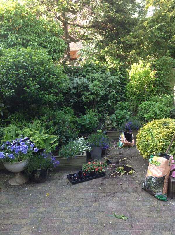 Even een tuin schoon trekken in in kleur zetten! #hoflaan