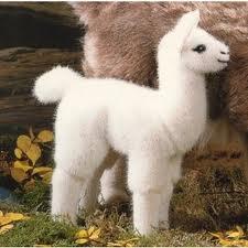 Almalelama's tweet image. Trop chou #A