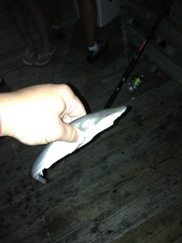 Jaden Combs tweet media