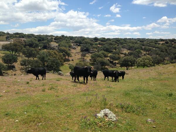 Enlace permanente de imagen incrustada