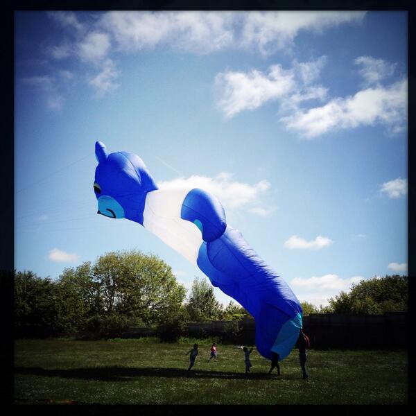 saltburnschool's tweet photo. Teddy bear! #saltburnkitefestival http://t.co/TTwvJOwzM1