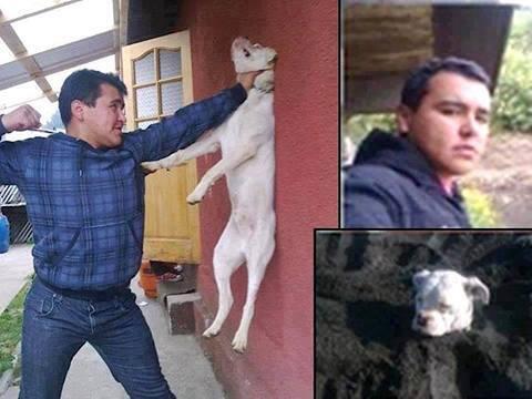 OpinaFotos's tweet photo. RT para que encuentren a este hijo de puta. http://t.co/Rbhzh3rBii