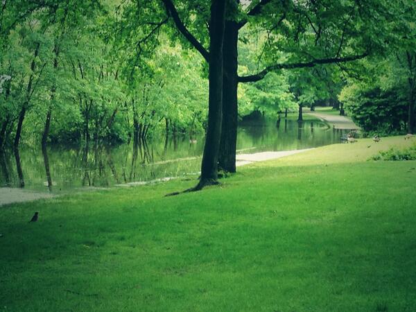 BostonVizsla's tweet photo. The pond has runneth over after the storm http://t.co/DSc6PuspmV