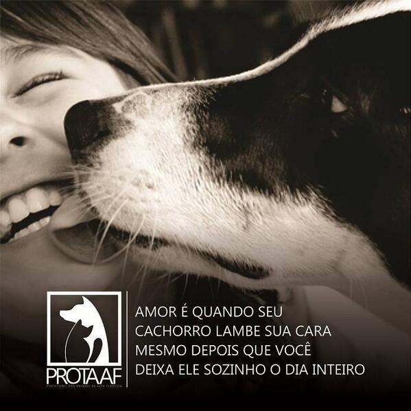 Rotaract_AF's tweet image. "Amor é quando seu cachorro lambe sua cara mesmo depois que você deixa ele sozinho o dia inteiro"