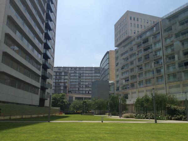 parquespolanco tweet media