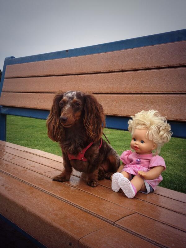 jduncanone's tweet photo. Dolly duty http://t.co/4nKwFuHw5U