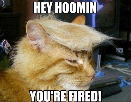 allfunnyanimals's tweet photo. http://t.co/NiP9iW8hIa