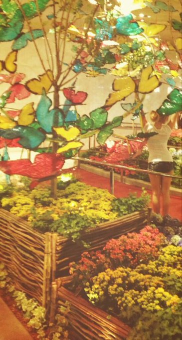 I'm in La La Land <3 What a great day <3 #happiness #love #blessed #butterflies @TheGroveLA http://t