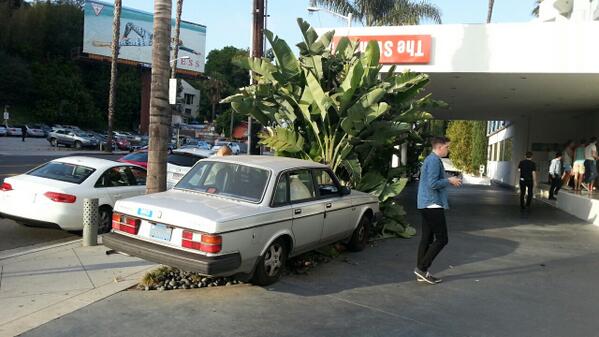 Almost Famous tweet media