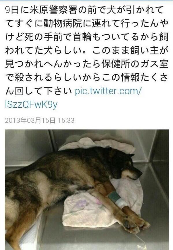 高デあるあるbot Kodearuaru1000 Twitter