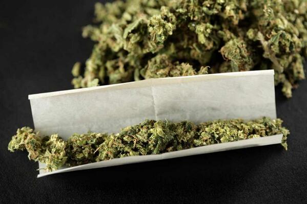CannabisSearch's tweet image. Roll a fatty and enjoy your weekend! #passthelighter