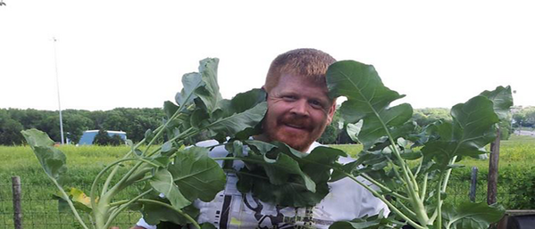 MyRaisedBedGard's tweet photo. Broccoil Harvest 2013 &amp; Lessons For Next Spring - http://t.co/2ooFTEHBlE http://t.co/9HH34jHryw