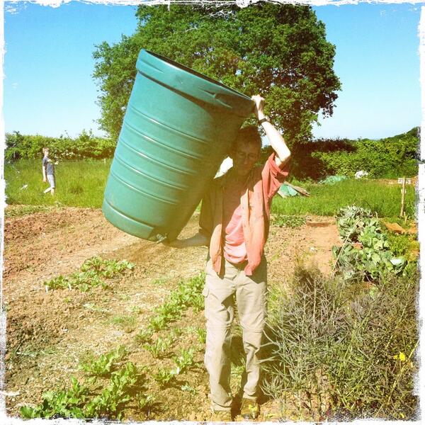 ExeterGrowers's tweet image. Lovely Saturday up on the field. David moved the water butt #notthatheavy #Exeter