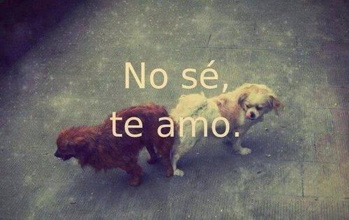 Lolofap5's tweet photo. No sé, Te amo. http://t.co/TGKCpaa3Aw