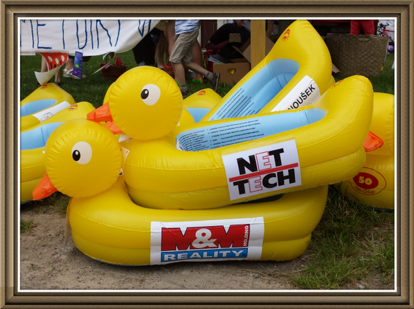 NetTech_cz's tweet image. Naše kachní závodnice bohužel nevyhrála, ale podpořili jsme díky ní dobrou věc. #apla2013 Díky za skvělou akci.