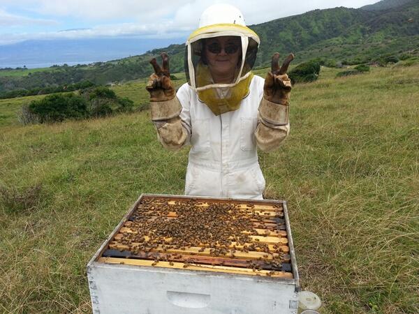 mauifarmdog's tweet image. World peace and honeybees #beework #maui with @MariDahlia