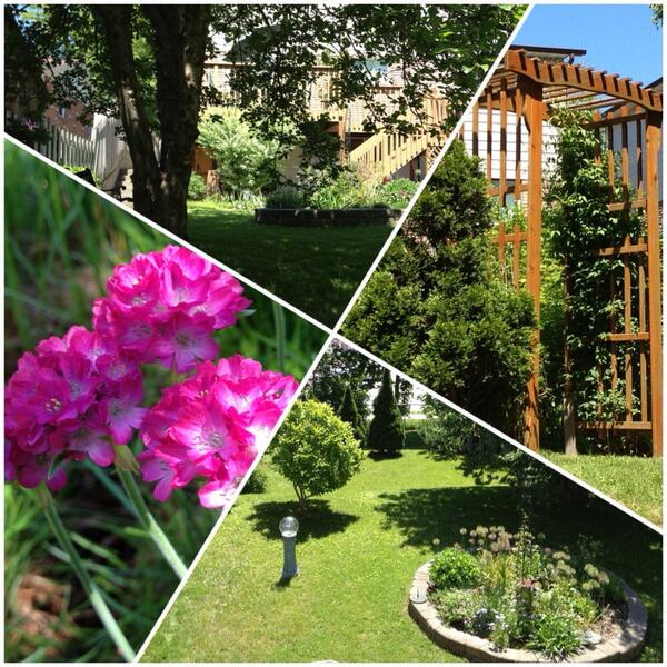 shabowsiobhan's tweet image. Taking photos of the backyard and getting all the feels.. #memoryoverload #movingsucks