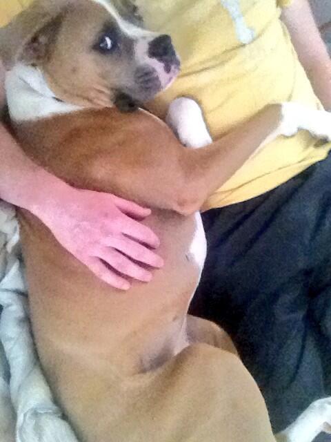 s_jmartin's tweet image. Charlie thinks she's tiny #princesscharlie