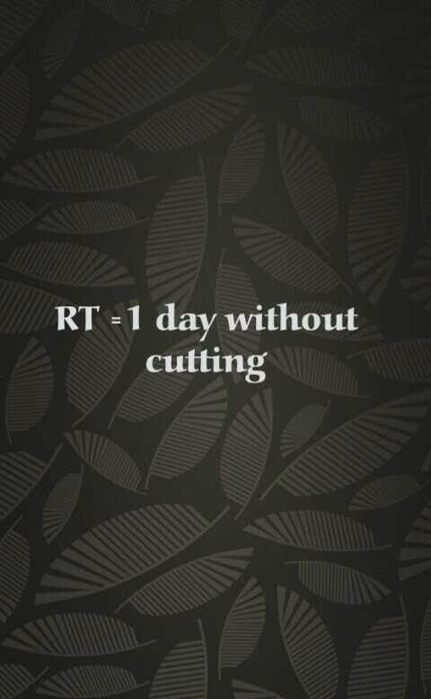 thindrellascars's tweet image. Will you help me?