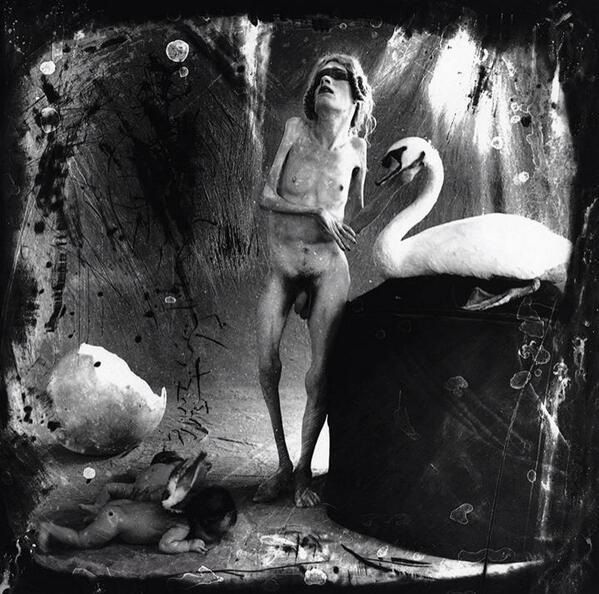 8 THE GODDESS BUNNY ideas  goddess, bunny, joel peter witkin