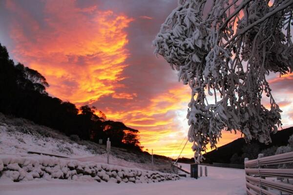 Bean & Grain Thredbo (@bandgthredbo) on Twitter photo 