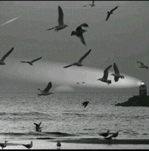 IB_04's tweet image. اللهُم إرحمُنيّ إذا نسِيَ إسميّ وبُلي جسمْي ۈ إندرسْ قبريّ ، ۈ لمْ . ٌيزُرنيّ زائرٌ ۈ لمْ يذكُرنيّ ذاكر..