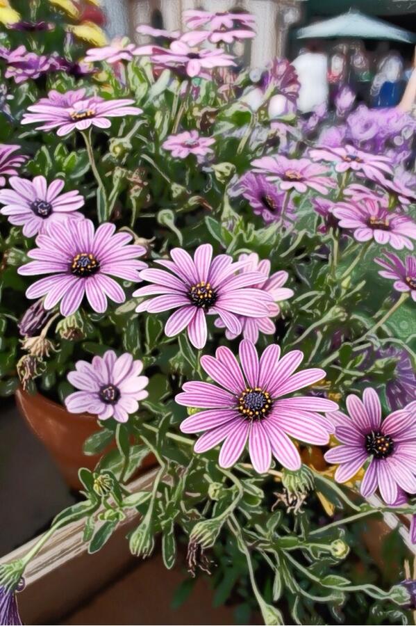 JongHyok Lee tweet media