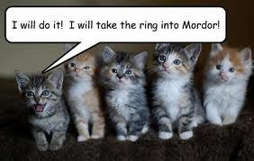 ShireKitty's tweet image. YES! I will go!