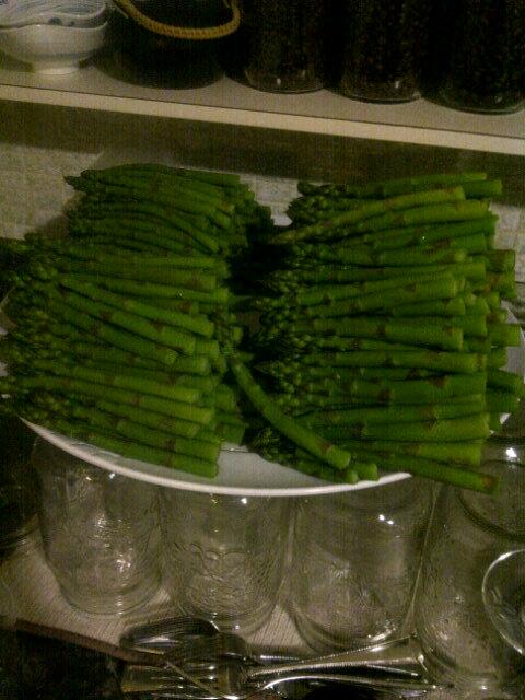 FatCat_WineBar's tweet photo. #pickled #asparagus and this just the first batch!!! http://t.co/2Q0Zfnm3GN