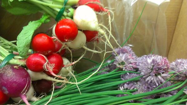 MadresKitchen's tweet photo. Farm to table - Some fresh easter egg radishes and chives from 21 acres http://t.co/L4BkmwALu8