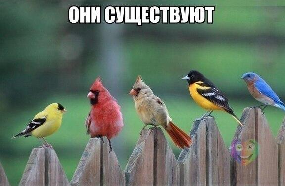 Mahitto_ tweet picture