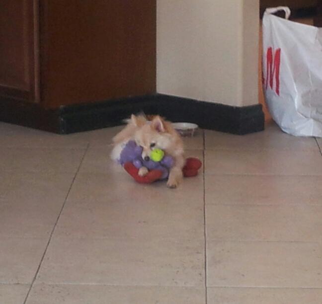 Watch The Cowdashians's leaked NSFW photo on TwXstars