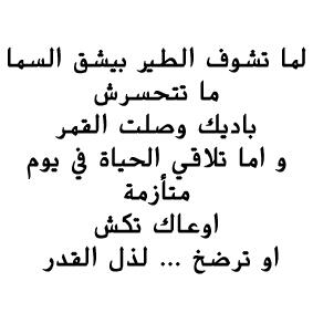 dr_ahmedsamir2's tweet image. #ahmed_samir  أوعي تكش